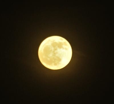 オレンジ色のフラワームーン　5月の満月