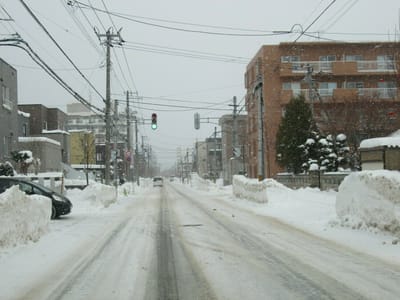 排雪された道路