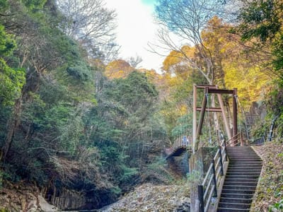 河津七滝　遊歩道の斜めの吊り橋、結構揺れる