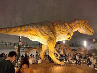 恐竜博物館（４枚組）