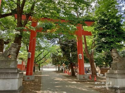 新宿 花園神社の鳥居（東京都新宿区）