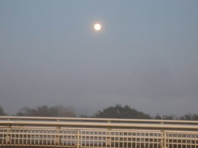 利根川の朝霧