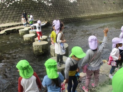 大岡川の桜と園児たち