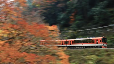 紅葉の中を走る叡山電車きらら号（流し撮り）