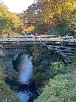 日本三奇橋「猿橋」