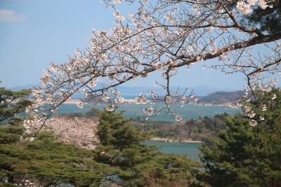 塩竈桜にあこがれた松尾芭蕉にみせたい春の絶景