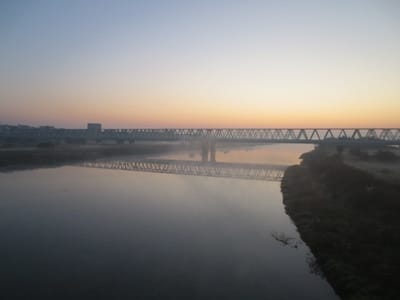 利根川の朝霧