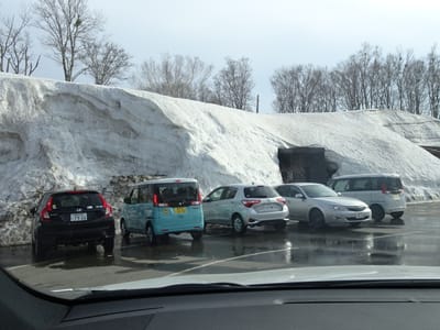 八甲田雪の回廊、酸ヶ湯温泉駐車場の残雪
