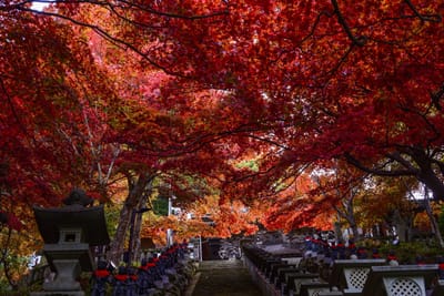 カメラぶらり散歩　大山寺の紅葉
