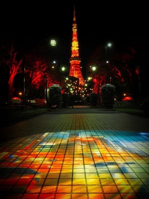 TokyoPark illumination