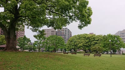 新緑　熊本　白川公園