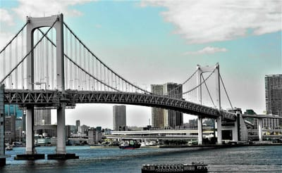 🔵えっ、首都高の「橋」が美しすぎる!? 見るのも走るのもどっちもイイ！ 観光スポット級に“映える橋”がスゴい！