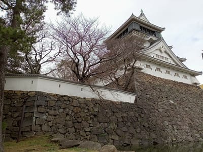 令和４年の小倉城🏯とソメイヨシノ桜🌸〜まだまだ