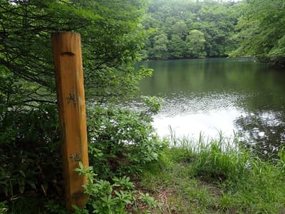 大池も誰もいない静かできれいな場所でした。北八ヶ岳の池巡りみたいで楽しいです。