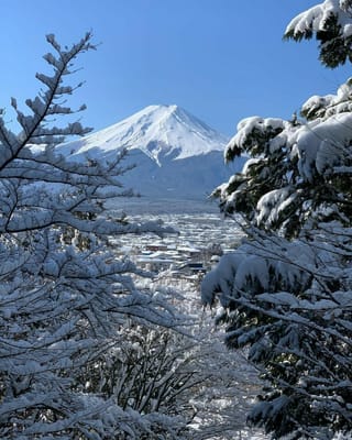 富士山を望む新雪の絶景❣️