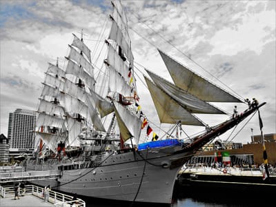 <お気に入り写真> 　 "帆船　日本丸"　「太平洋の白鳥」