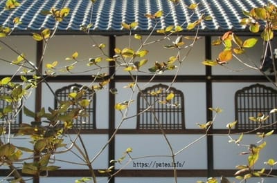 仁和寺と頭花窓