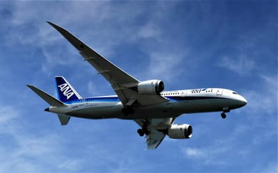 <お気に入り写真・空>　 ANA 787-8 Dreamliner 