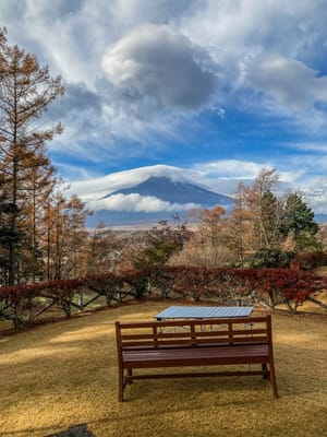 宿の庭から富士山　笠雲がどんどん被ってきていました。