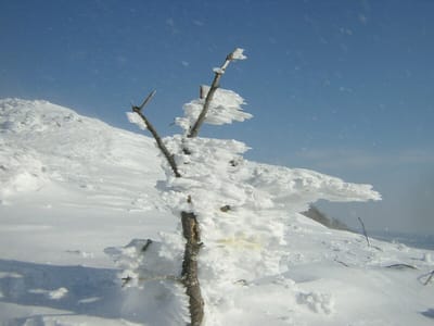 冬の釧網線沿線
