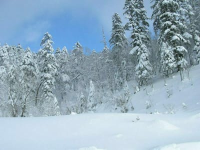 冬の釧網線沿線、車窓風景