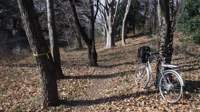 枯れ葉ふみ　自転車押して　峠道