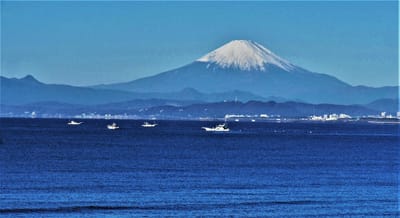 <お気に入り> 藤沢市 "湘南海岸公園"からの 🗻富士山撮影