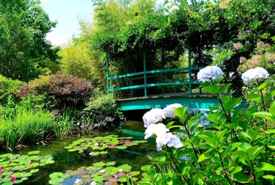 モネの庭～太鼓橋（斜め）