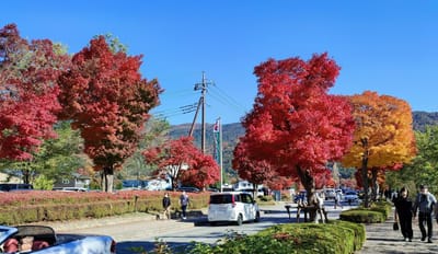 富士河口湖紅葉まつり