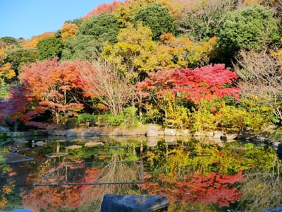 金沢自然公園の紅葉