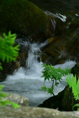 ミニ滝
