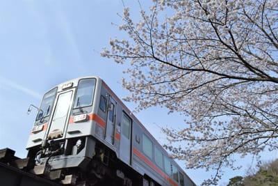 桜とJR名松線