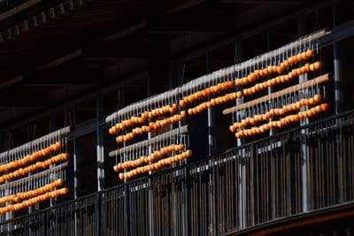  三峯神社で見かけた秋の味覚