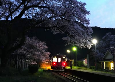 桜と列車（３）