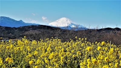 　🗻　早くも、"雪景色の富士山"を 見たくなってきた　🗻