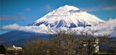 2/23「富士山の日」"富士山" 世界文化遺産登録10周年記念