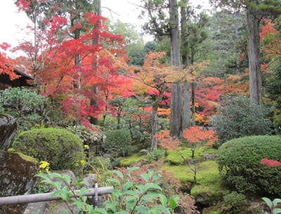 京都の南禅寺にて