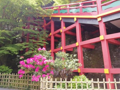 「ここまで上ります」 水舎～本殿へ   続祐徳稲荷神社 (ハウステンボスと九州絶景ツアー１日目)    2023年５月11日
