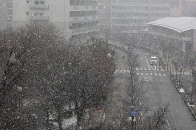 横浜に久し振りの雪