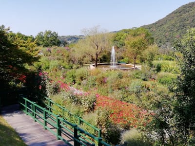 「噴水と花園」モネの庭  マルモッタン  花の庭４  (四国ツアー２日目)    2023年10月18日