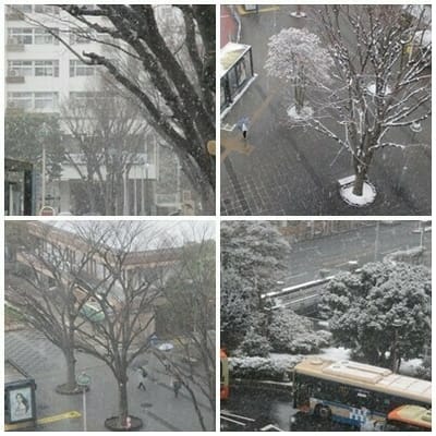 横浜、我が地方初雪^^；
