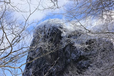 登りでは寒ざむしく見えた霧氷も下山時には様変わり(別写真)