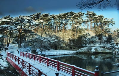 10年に一度という旭日が雪の松島に登場・・・2021-2-11。