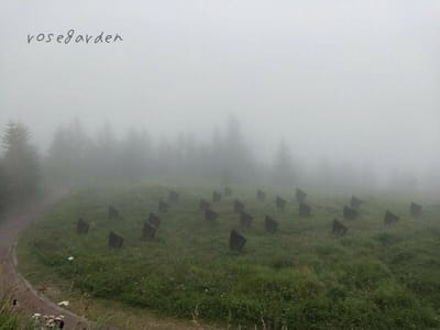 霧の中の石のオブジェ