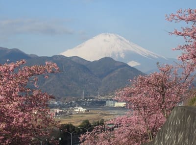 富士山の下は川村城址公園の浅間山　去年火曜会で矢倉岳から歩きましたね～