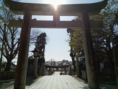 季節外れの宮地嶽神社の光の道