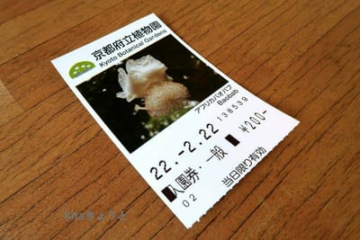 京都府立植物園　　2022.2.22　3