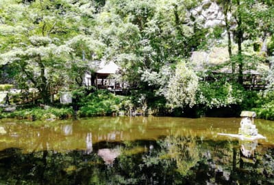 おのころ池２   高千穂峡   (九州花と絶景６つの名所巡りツアー２日目)   2023年６月３日