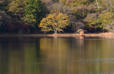 一碧湖の紅葉風景３