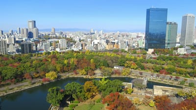 2022/11/18　紅葉真っ盛り　大阪城公園